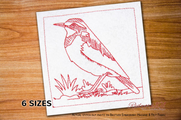 African Pied Wagtail Redwork Embroidery Review
